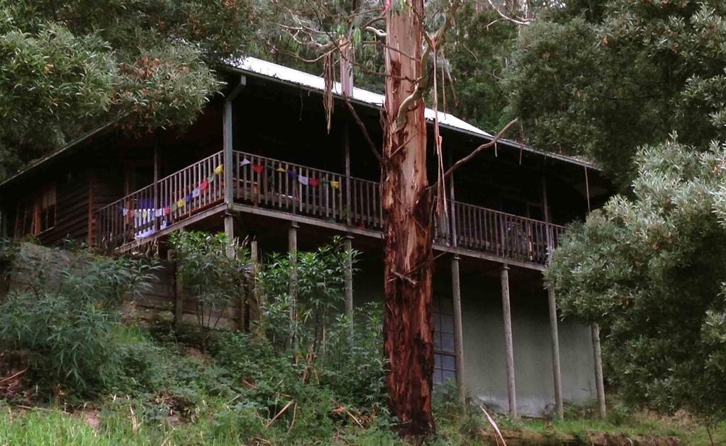 Tall Trees Eco Retreat - Blackwood Cottage Apollo Bay Exterior photo